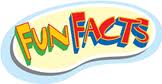 Party Commercial Bounce Houses For Sale in Cisne